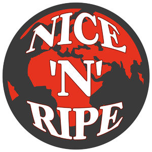 You Took My Lovin (The Nice 'N' Ripe Remixes)