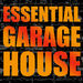 Essential Garage House